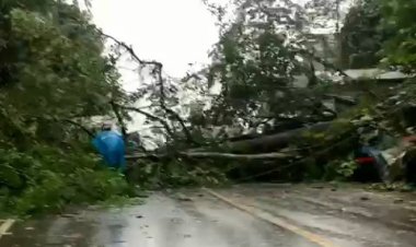 Warung Tertimbun Aktifitas Perjalanan Terganggu Akibat Tanah Longsor di Perbatasan Tabalong - Kaltim