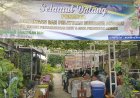 Untung Berlipat Peserta Pelatihan Budidaya Anggur, Dapat Ilmu Dan Bibit Gratis