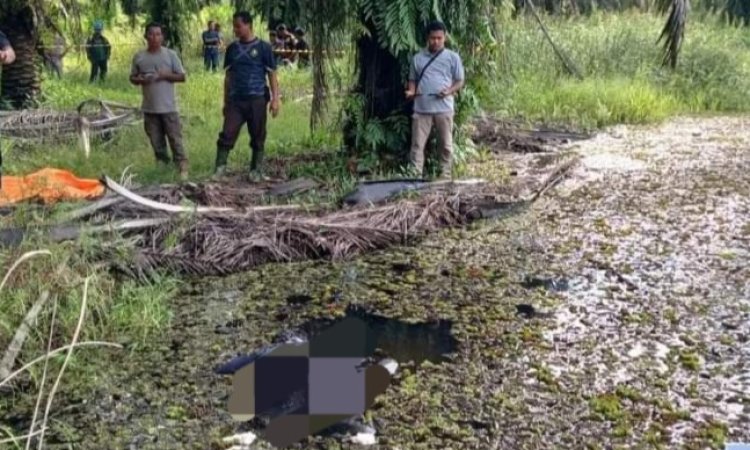 Terungkap, Mr X Yang Ditemukan Tak Bernyawa di Kebun Sawit
