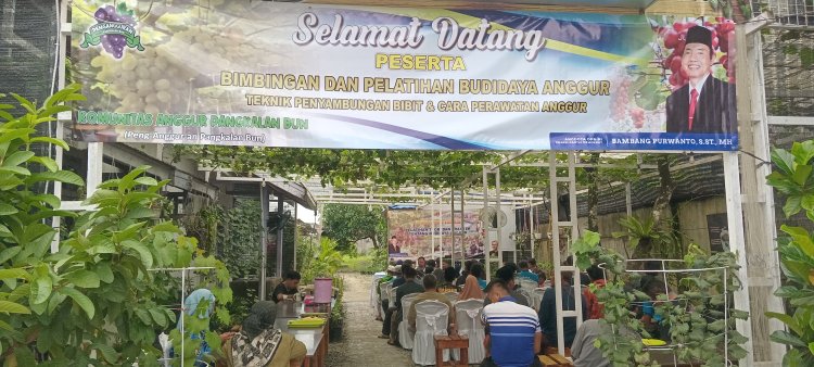 Untung Berlipat Peserta Pelatihan Budidaya Anggur, Dapat Ilmu Dan Bibit Gratis