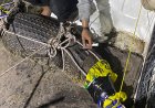 Nasib Buaya Buaya Penyerang Kakek Di Desa Tanjung Terantang
