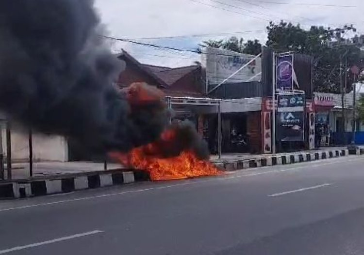 Menghebohkan! Sijago Merah Makan Siang Sepeda Motor di Kompleks Pertokoan Kodim Pangkalan Bun